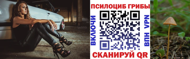 Купить где  Астрахань  Псилоцибиновые грибы прущие грибы 
